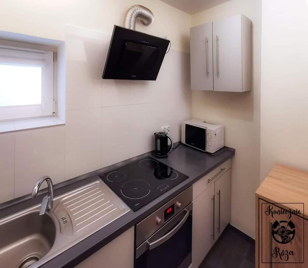 Koniecznie Roza Apartment Karpacz