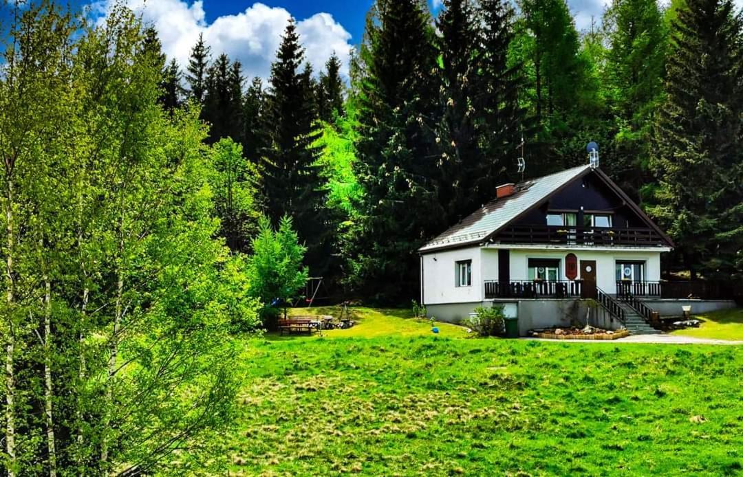 Koniecznie Roza Apartment